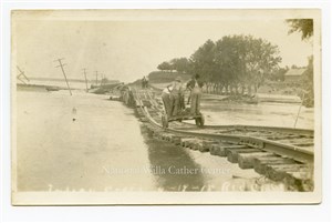 Image description is not available for PHO-264-626